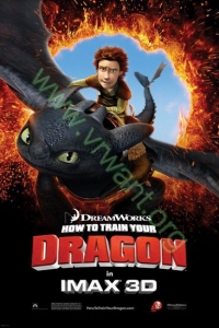 How to Train Your Dragon : อภินิหารไวกิ้งพิชิตมังกร [VCD Master พากย์ไทย]